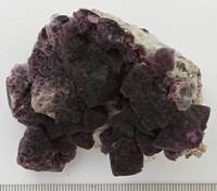 RG0260 Fluorite.jpg RG0260 Fluorite.jpg