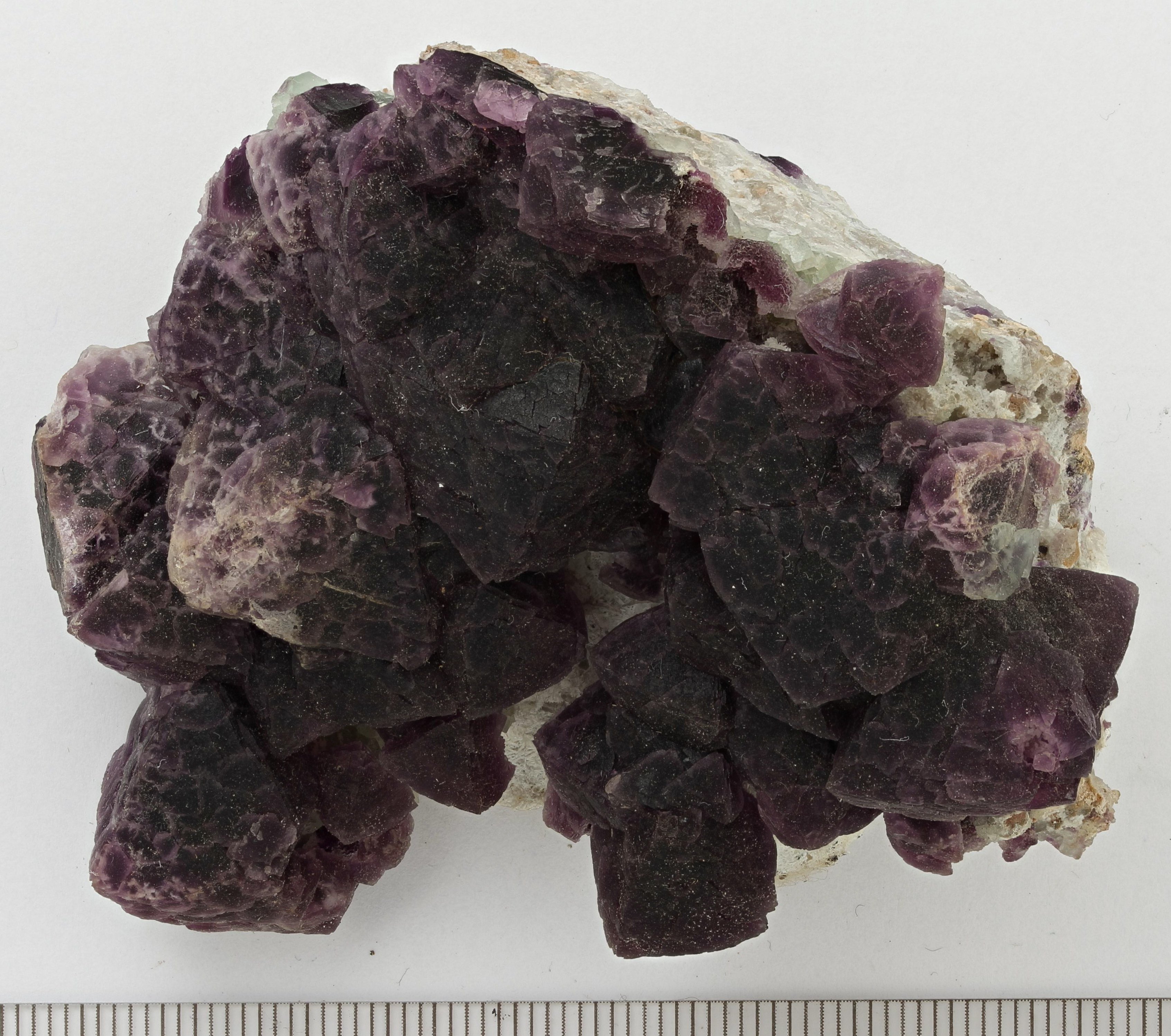 RG0260 Fluorite.jpg