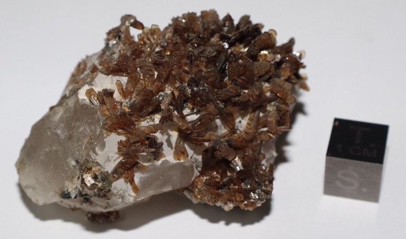 RG0282 Eosphorite.JPG