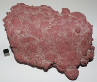 RG0289 Cinnabar.JPG RG0289 Cinnabar.JPG