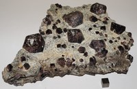 RG0300 Almandine.JPG RG0300 Almandine.JPG