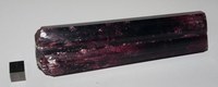 RG0306 Tourmaline.JPG RG0306 Tourmaline.JPG