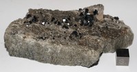 RG0307 Magnetite.JPG RG0307 Magnetite.JPG