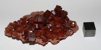 RG0311 Vanadinite.JPG RG0311 Vanadinite.JPG