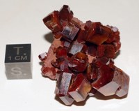 RG0314 Vanadinite.JPG RG0314 Vanadinite.JPG