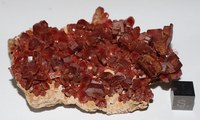 RG0317 Vanadinite.JPG RG0317 Vanadinite.JPG