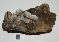 RG0322 Calcite.JPG RG0322 Calcite.JPG