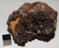 RG0323 Englishite.JPG RG0323 Englishite.JPG