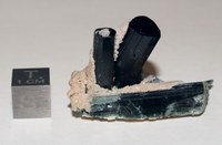 RG0328 Tourmaline.JPG RG0328 Tourmaline.JPG