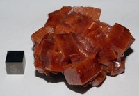 RG0331 Wulfenite.JPG RG0331 Wulfenite.JPG