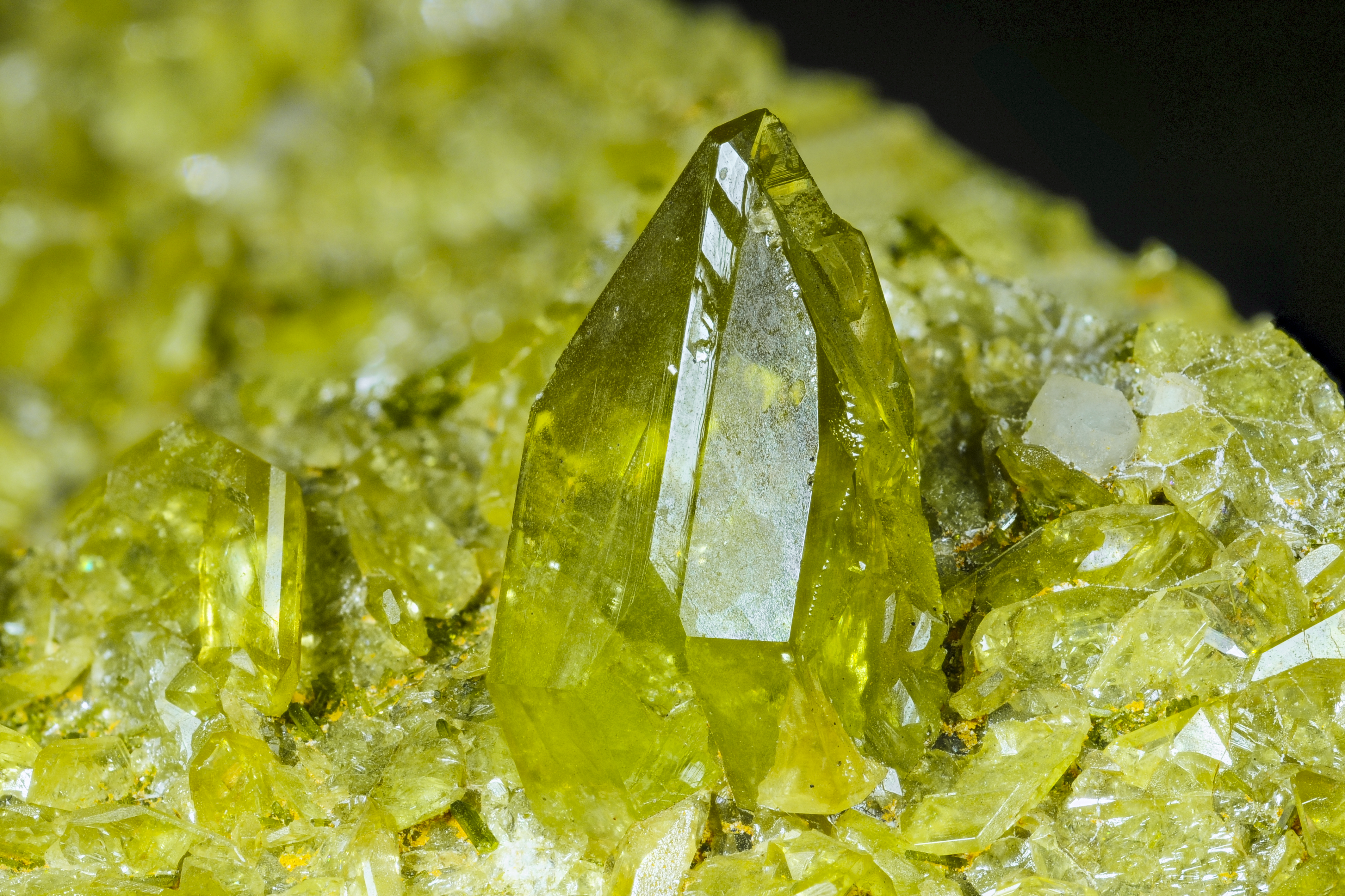 RG0339 27718.titanite.jpg