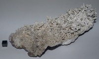 RG0344 Aragonite.JPG RG0344 Aragonite.JPG