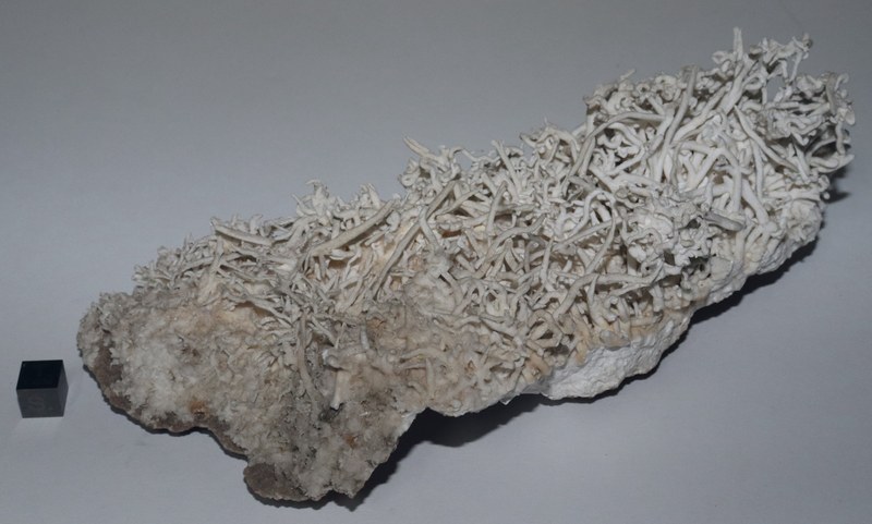 RG0344 Aragonite.JPG