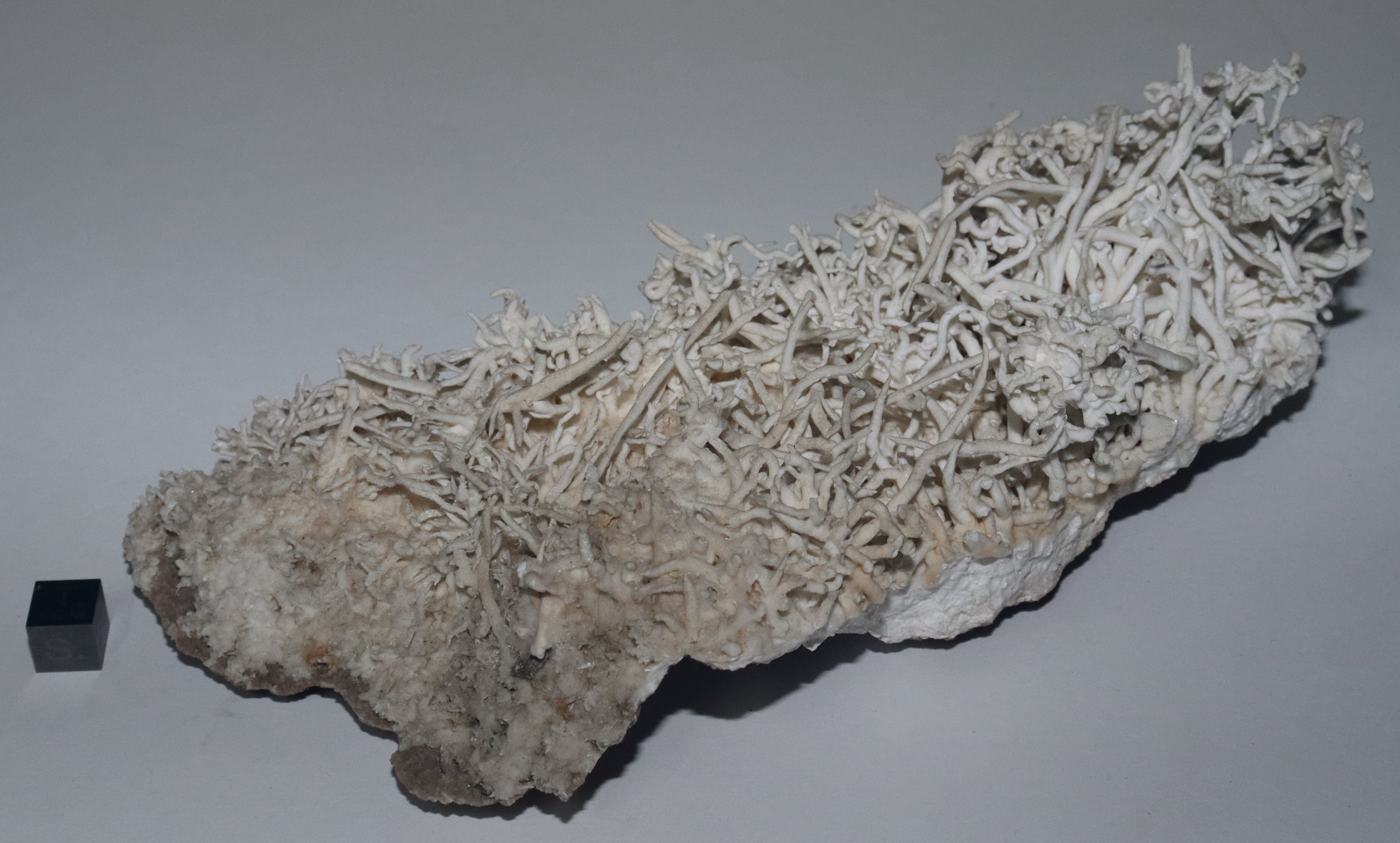 RG0344 Aragonite.JPG