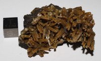 RG0352 Pyromorphite.JPG RG0352 Pyromorphite.JPG