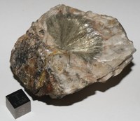 RG0355 Millerite.JPG RG0355 Millerite.JPG
