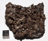 RG0357 Hedenbergite.JPG RG0357 Hedenbergite.JPG