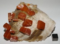 RG0360 Wulfenite.JPG RG0360 Wulfenite.JPG