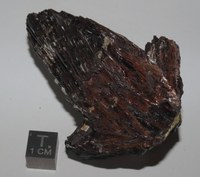 RG0362 Hubnerite.JPG RG0362 Hubnerite.JPG