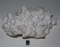 RG0363 Calcite.JPG RG0363 Calcite.JPG