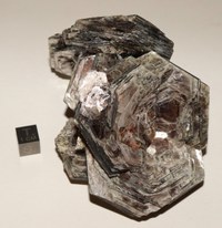 RG0368 Muscovite.JPG RG0368 Muscovite.JPG