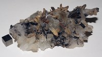RG0375 Wolframite.JPG RG0375 Wolframite.JPG