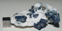 RG0377 Benitoite.JPG RG0377 Benitoite.JPG