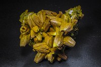 RG0381 27795 Pyromorphite BB 65-60-45.jpg RG0381 27795 Pyromorphite BB 65-60-45.jpg