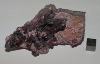 RG0399 Erythrite.JPG RG0399 Erythrite.JPG