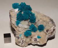 RG0401 Cavansite.JPG RG0401 Cavansite.JPG
