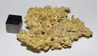 RG0402 Gold.JPG RG0402 Gold.JPG