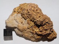RG0403 Gold.JPG RG0403 Gold.JPG