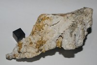 RG0404 Gold.JPG RG0404 Gold.JPG