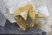 RG0407 27704.gold-2.jpg
