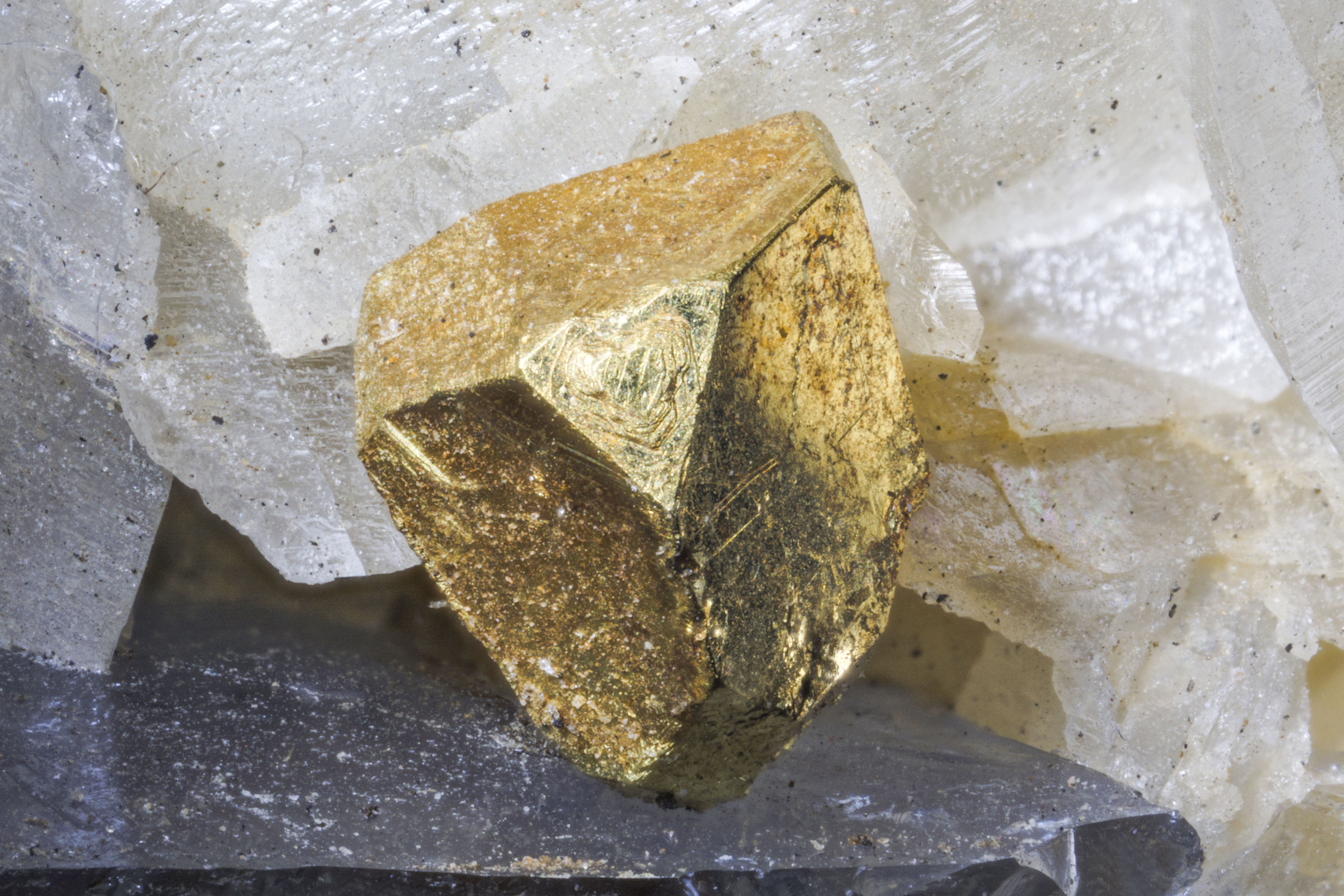 RG0407 27704.gold-2.jpg