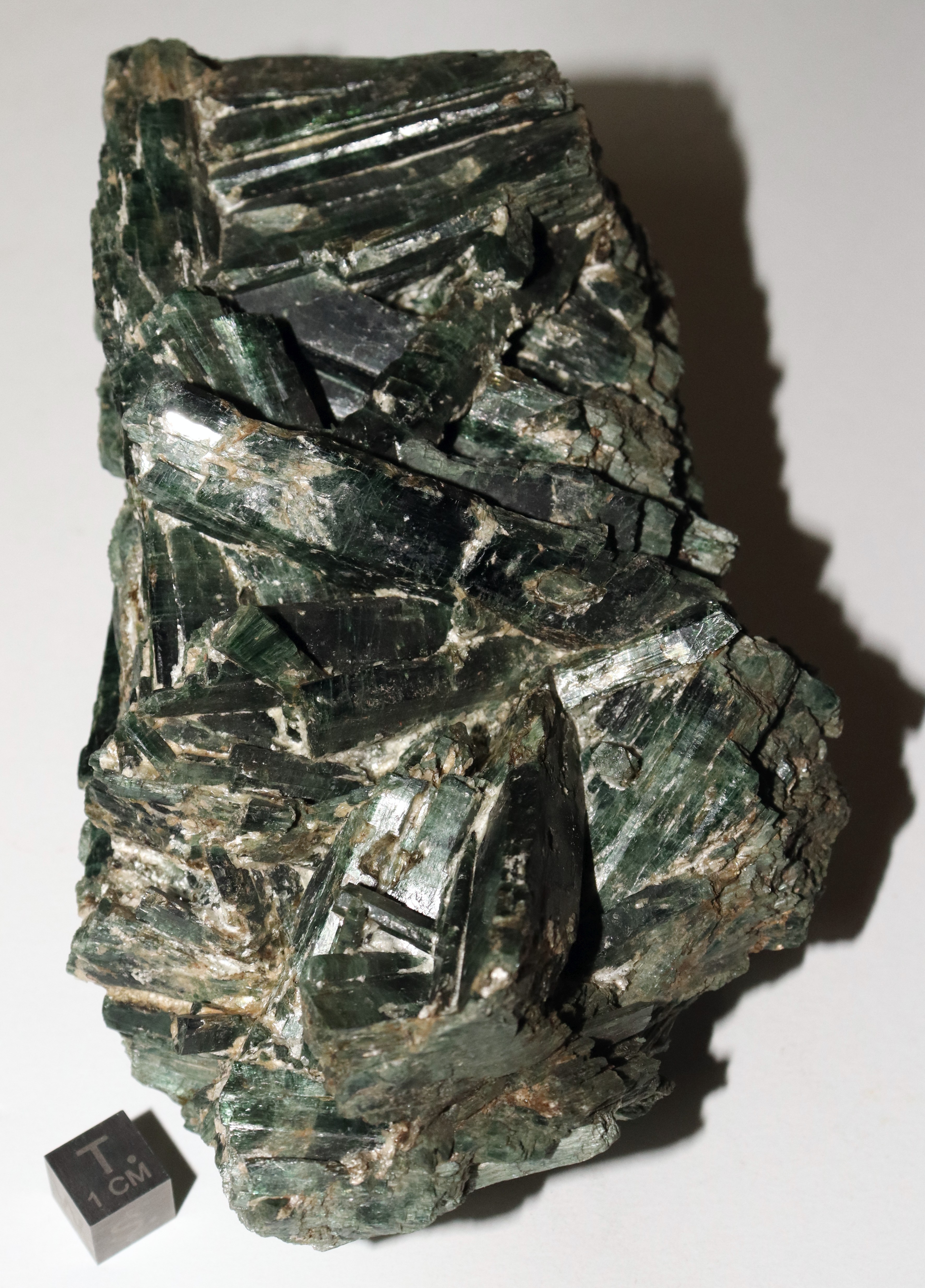 RG0413 Actinolite.JPG
