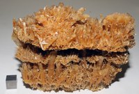 RG0426 Gypsum.JPG RG0426 Gypsum.JPG
