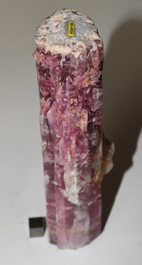 RG0459 Tourmaline (2).JPG RG0459 Tourmaline (2).JPG