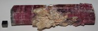 RG0459 Tourmaline.JPG RG0459 Tourmaline.JPG
