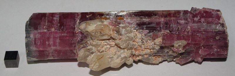 RG0459 Tourmaline.JPG