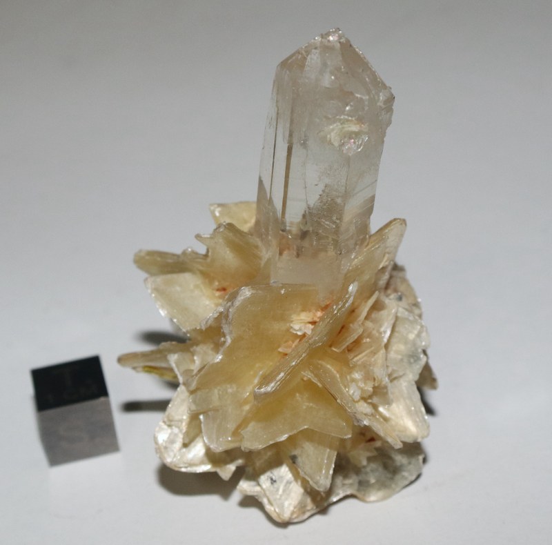 RG0464 Muscovite Quartz.JPG