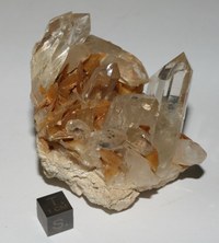 RG0466 Muscovite Quartz.JPG RG0466 Muscovite Quartz.JPG