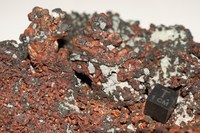RG0480 Copper (4).JPG RG0480 Copper (4).JPG
