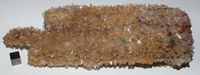 RG0482 Hemimorphite.JPG RG0482 Hemimorphite.JPG