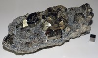 RG0494 Pyrite.JPG RG0494 Pyrite.JPG