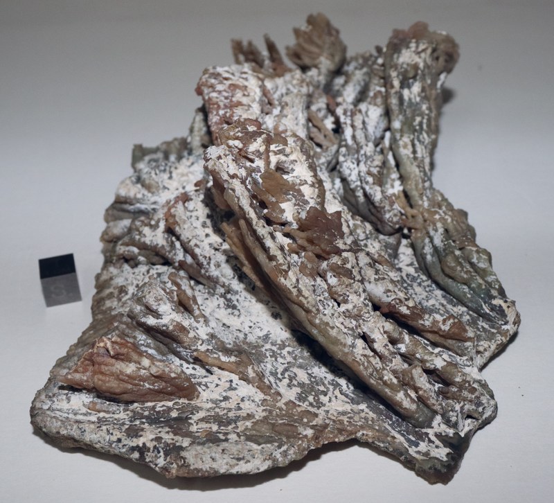 RG0527 Quartz Calcedony (2).JPG