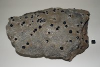 RG0529 Garnet Group.JPG RG0529 Garnet Group.JPG