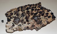 RG0530 Garnet Group.JPG RG0530 Garnet Group.JPG