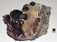 RG0554 Garnet Group.JPG RG0554 Garnet Group.JPG