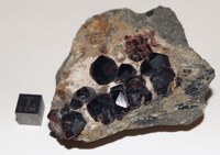 RG0561 Garnet.JPG RG0561 Garnet.JPG